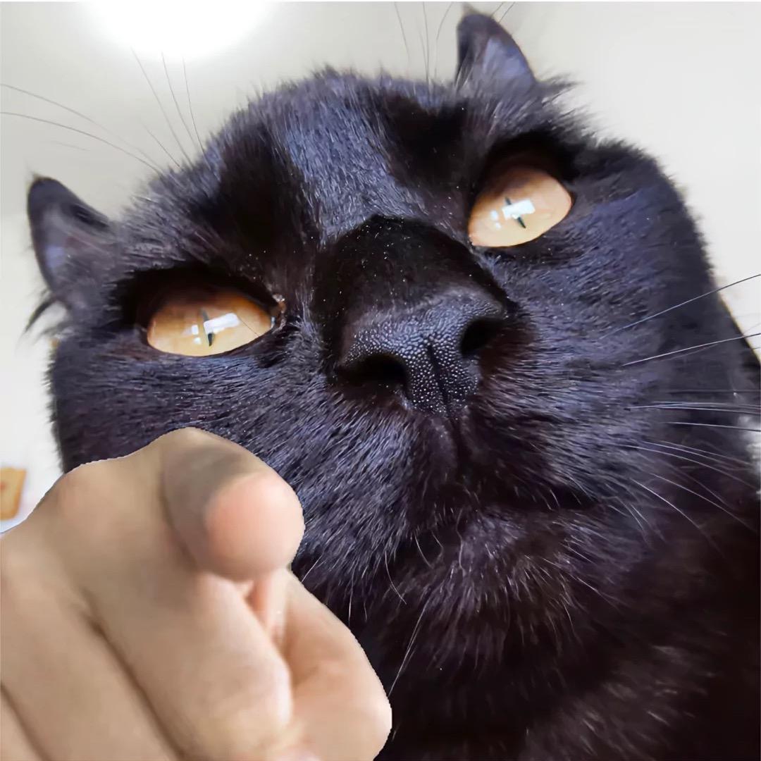 止损
