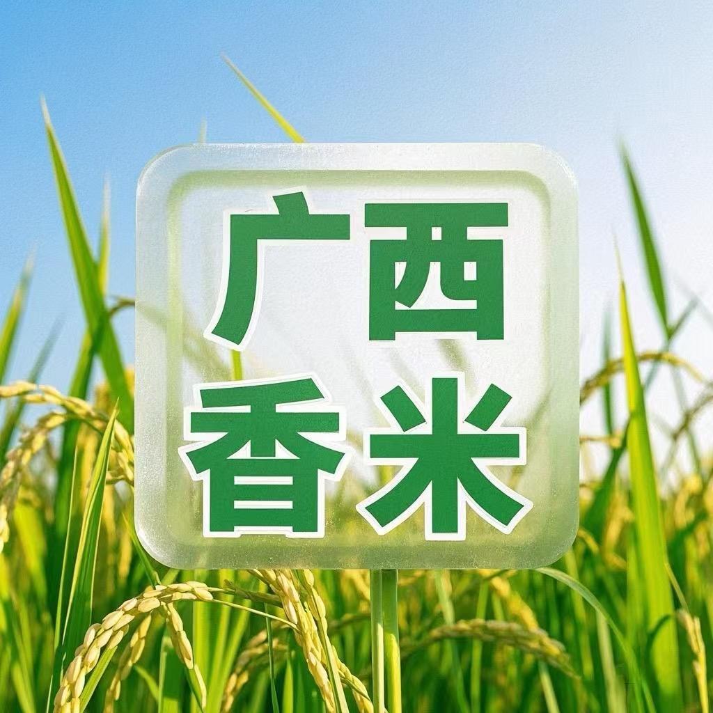 广西香米
