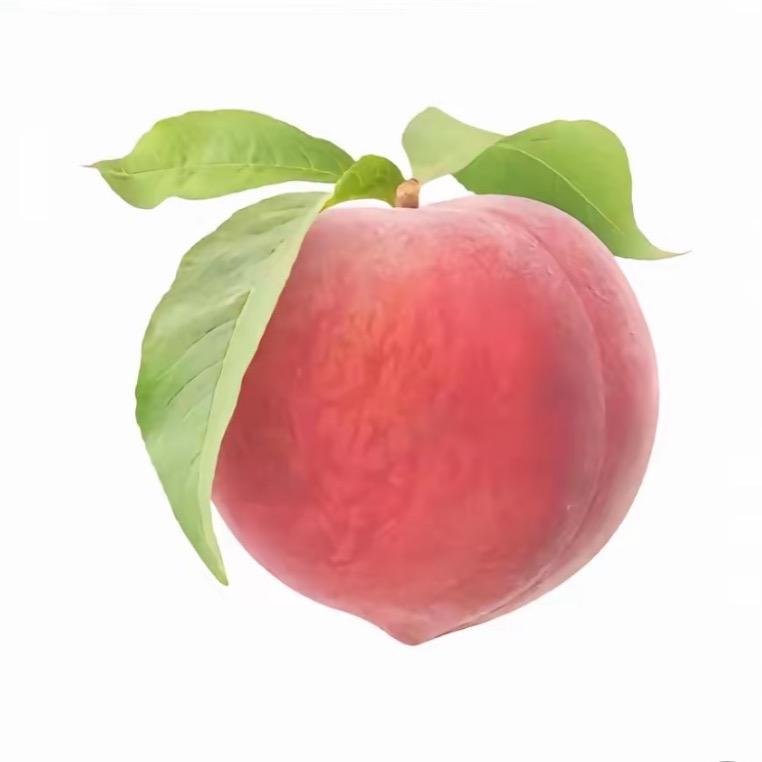 爱吃柚子的紫薯