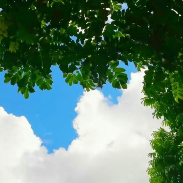 哈哈嘛