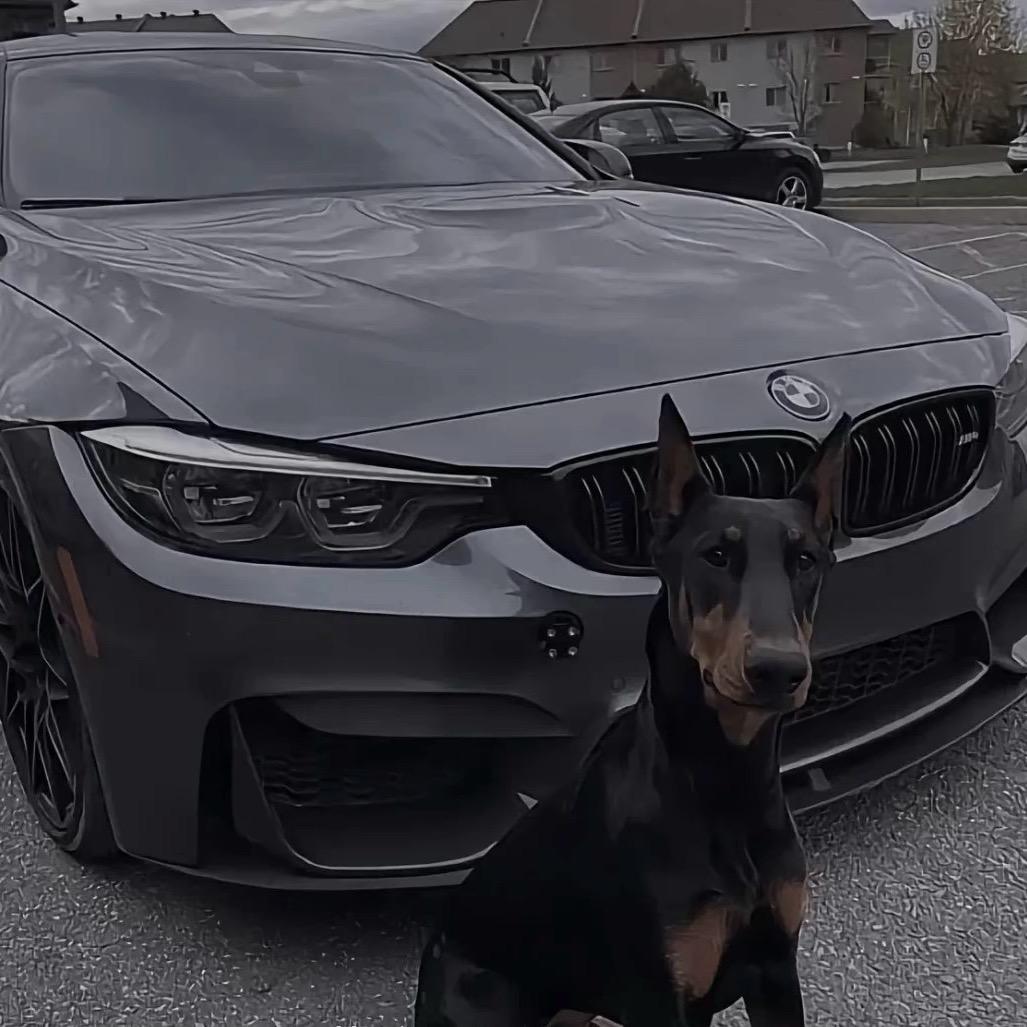 曹逆天.（汽车保管）