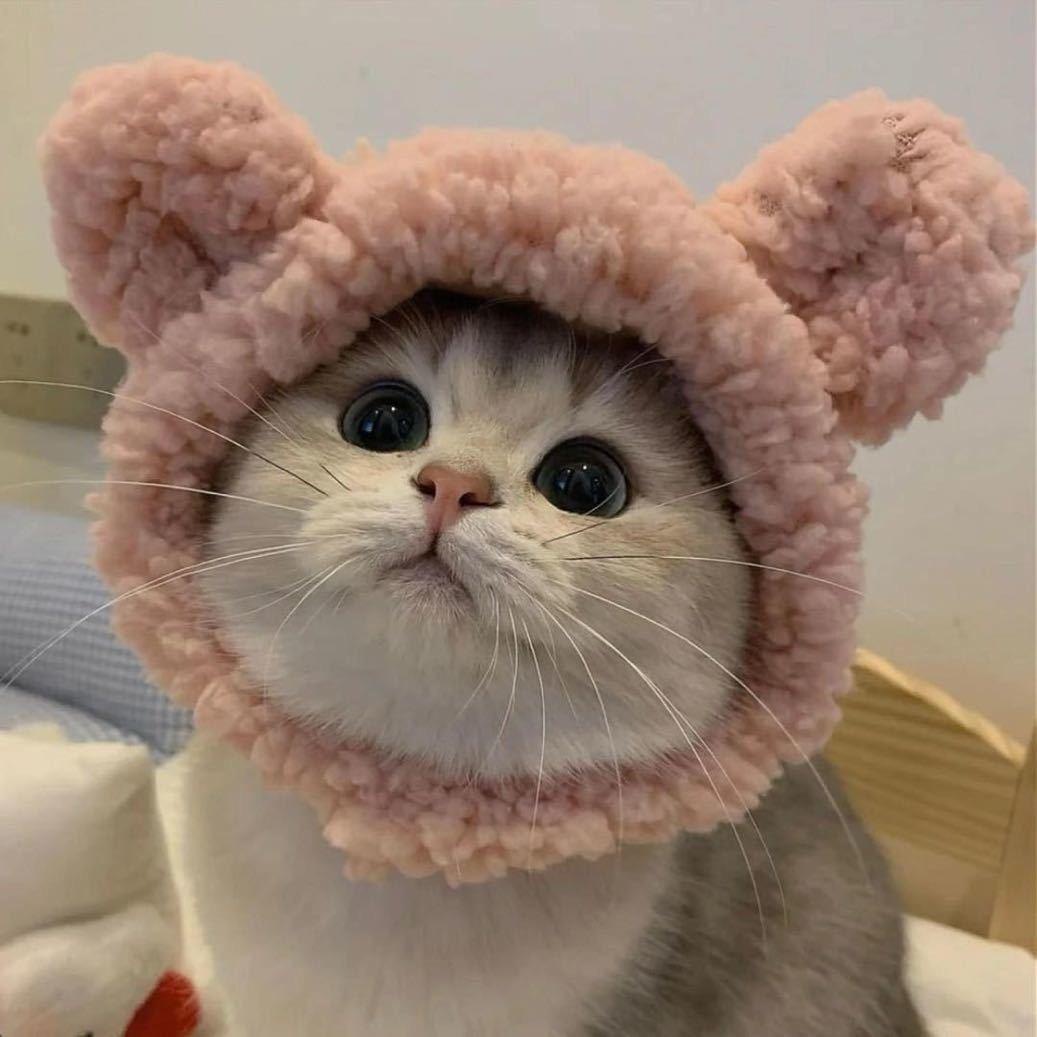 bae