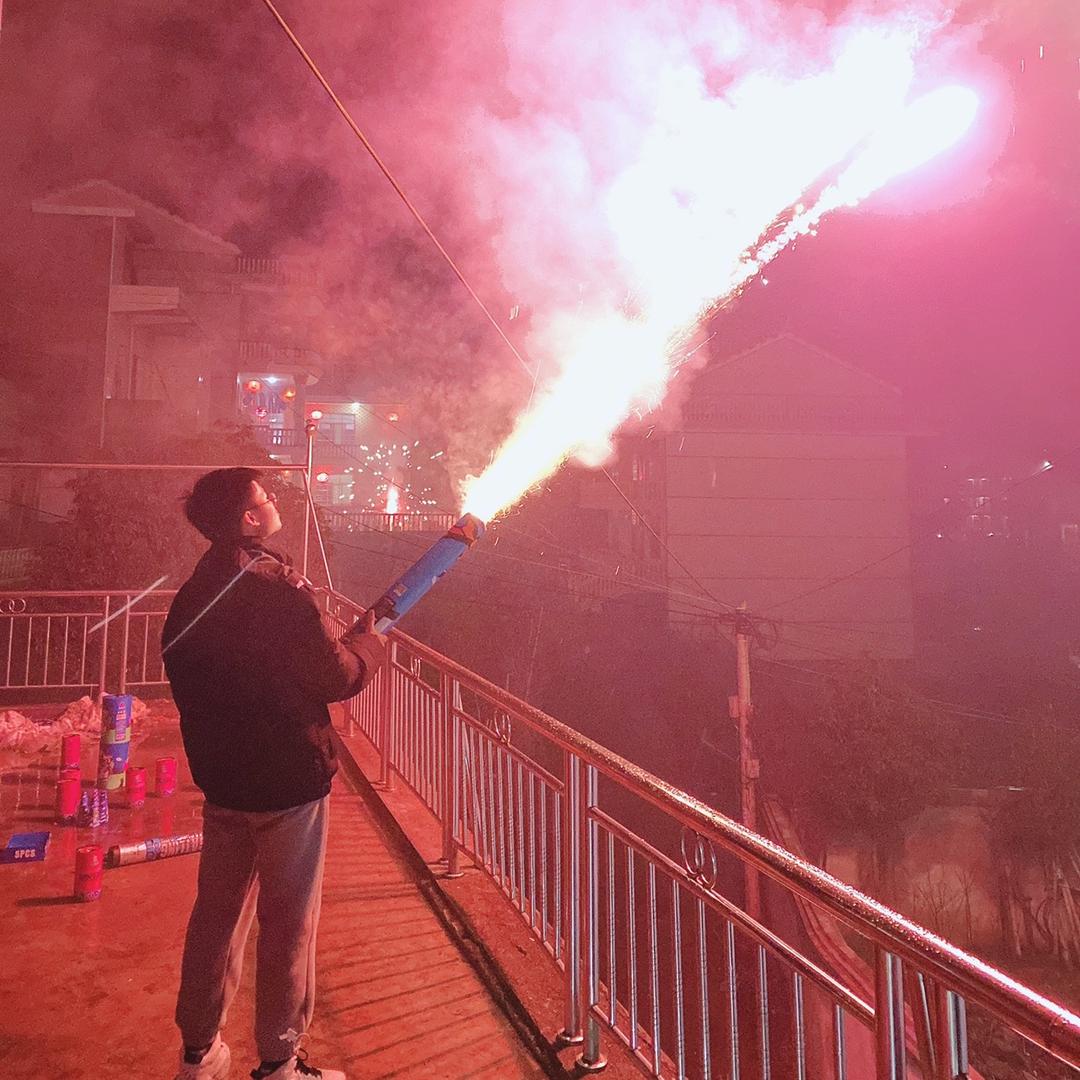 小李家李艳