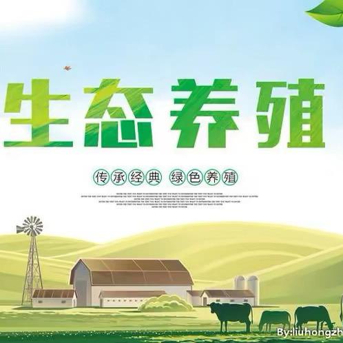 小羊农创