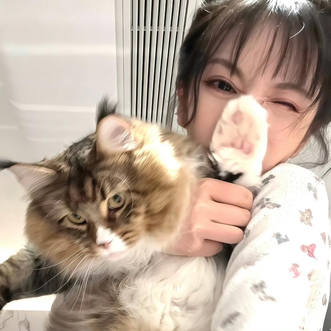 李最好了啦៸៸᳐⦁⩊⦁៸៸᳐ ੭ﾞ