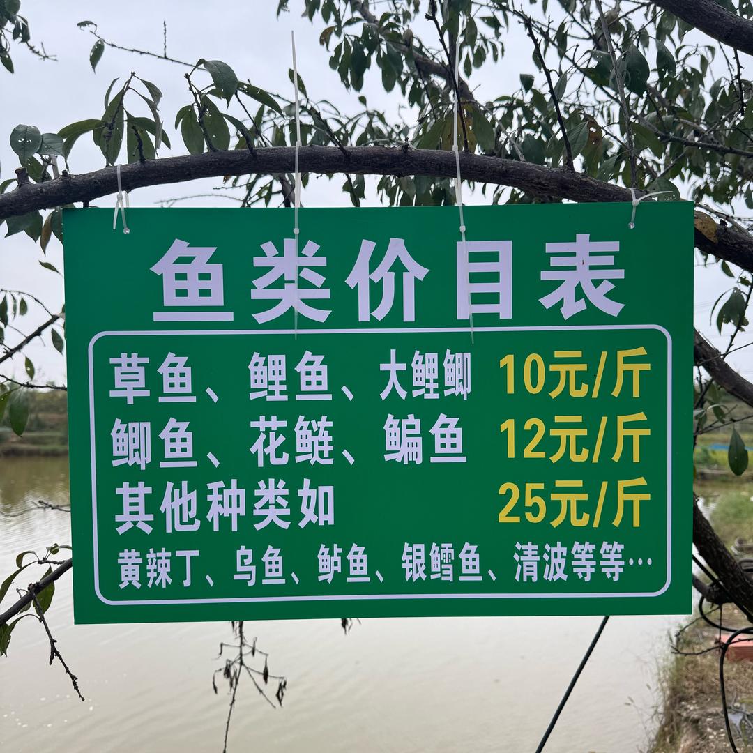 毛店唐家院子生态鱼放钓