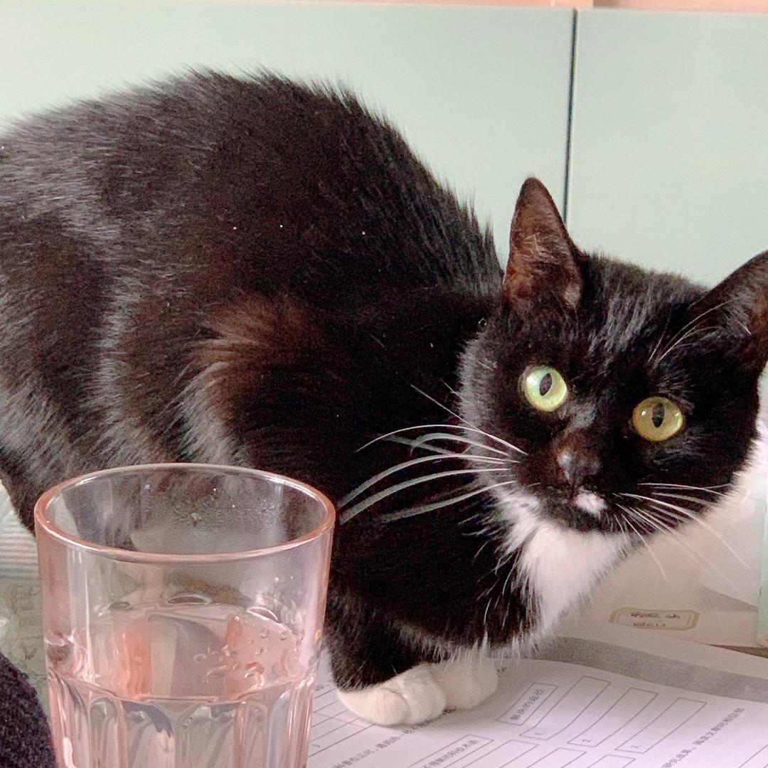 牙姐酒水带货骗局