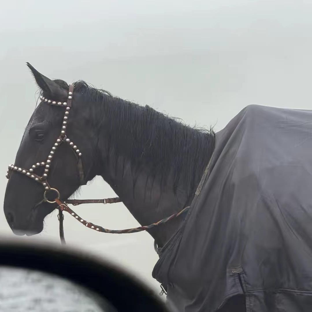 𝖈𝖆𝖓𝖌𝖞𝖆𝖓𝖌