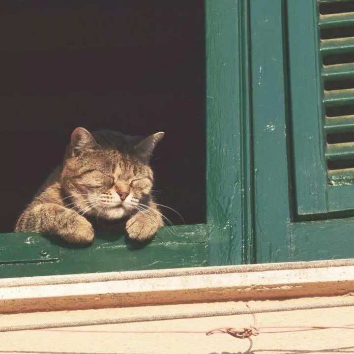 😯