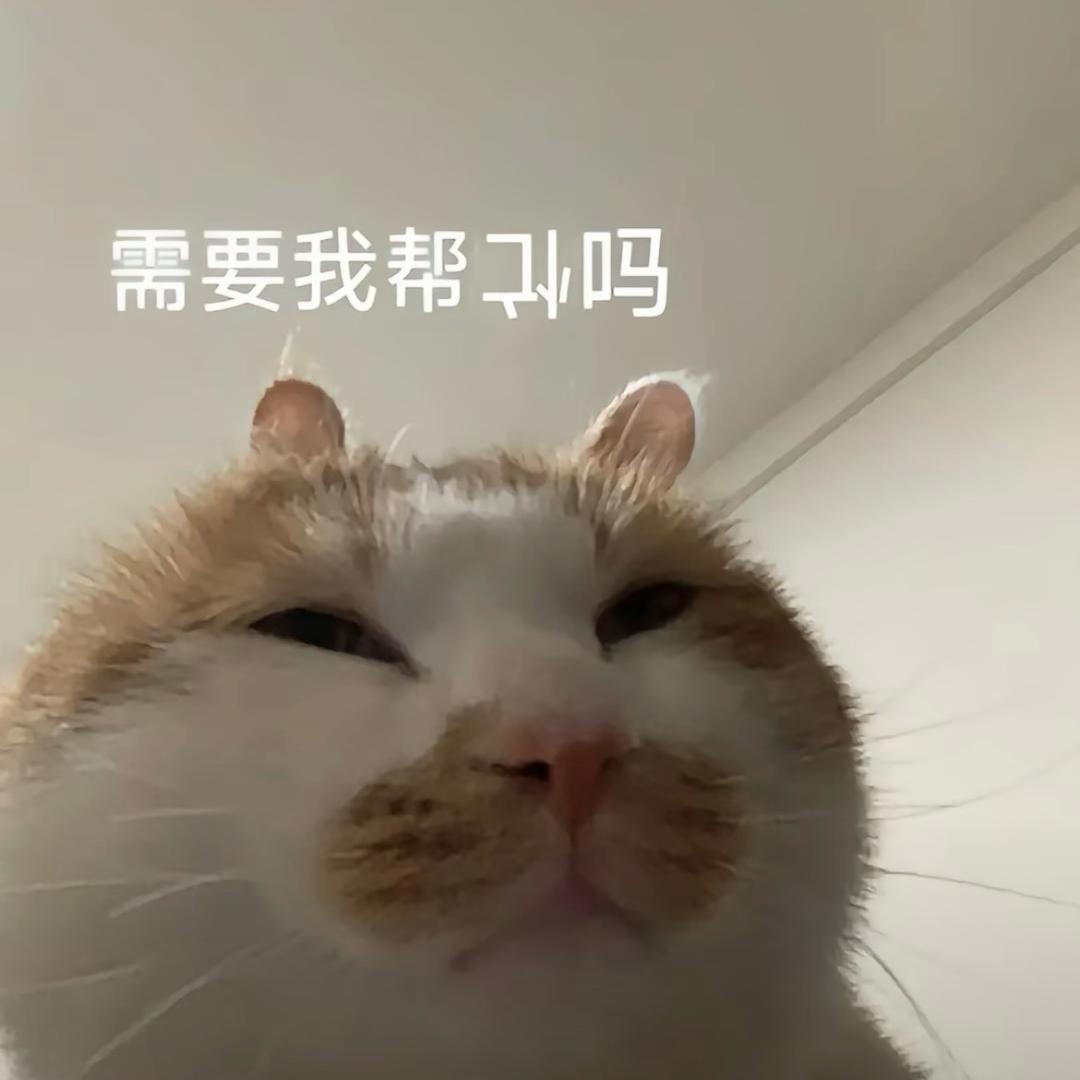我不爱吃饭