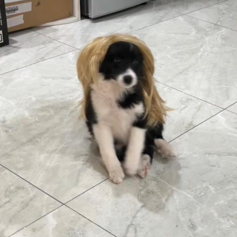 洛漪