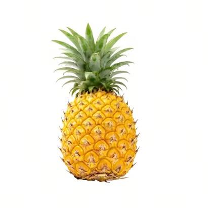 即墨最坚强的老头