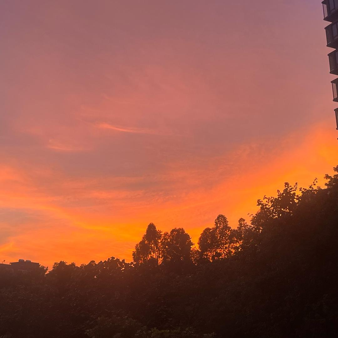 爱吃螺狮粉～