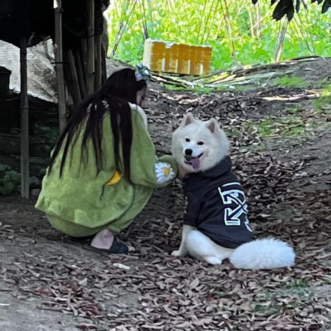 @西红柿不是番茄