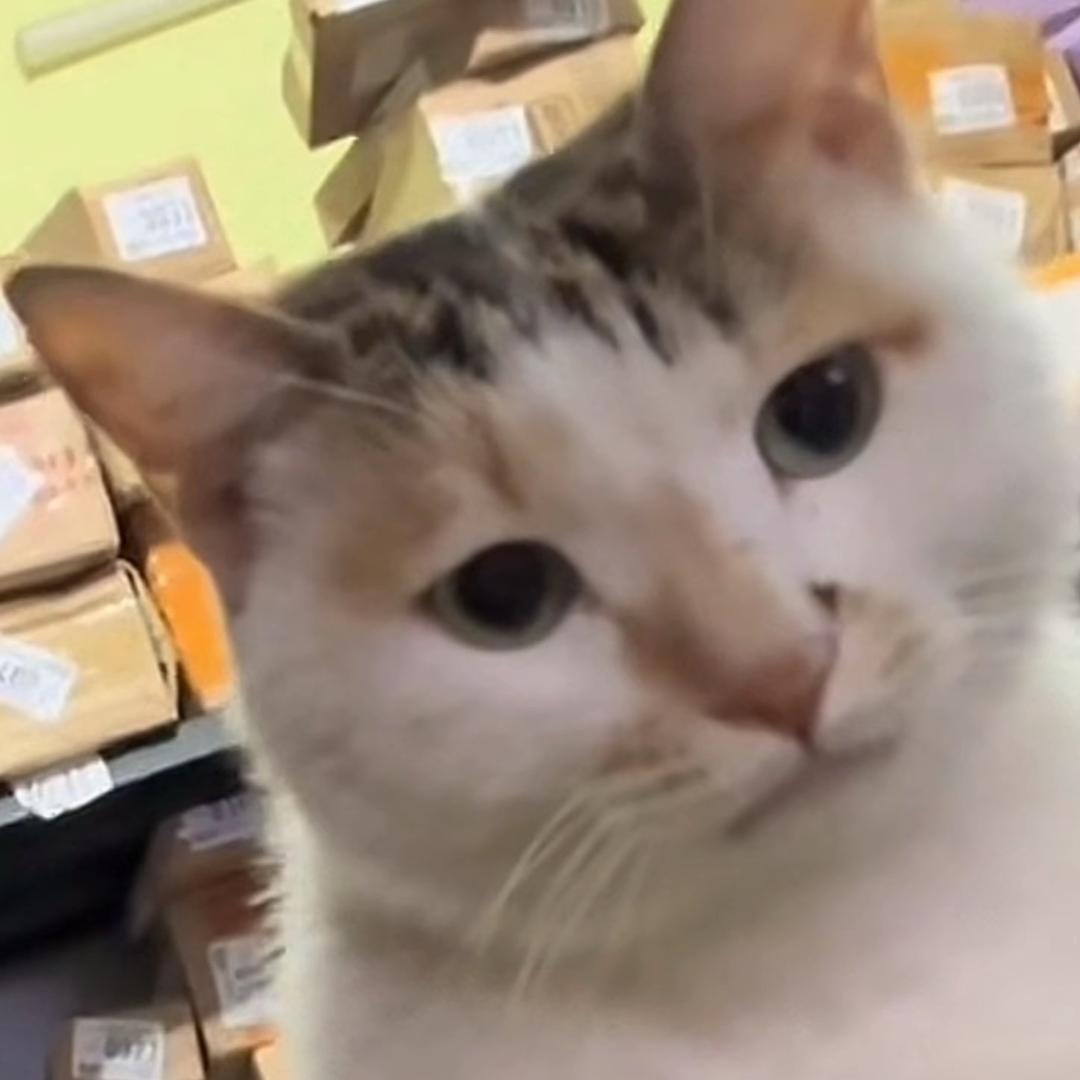 换胃思考