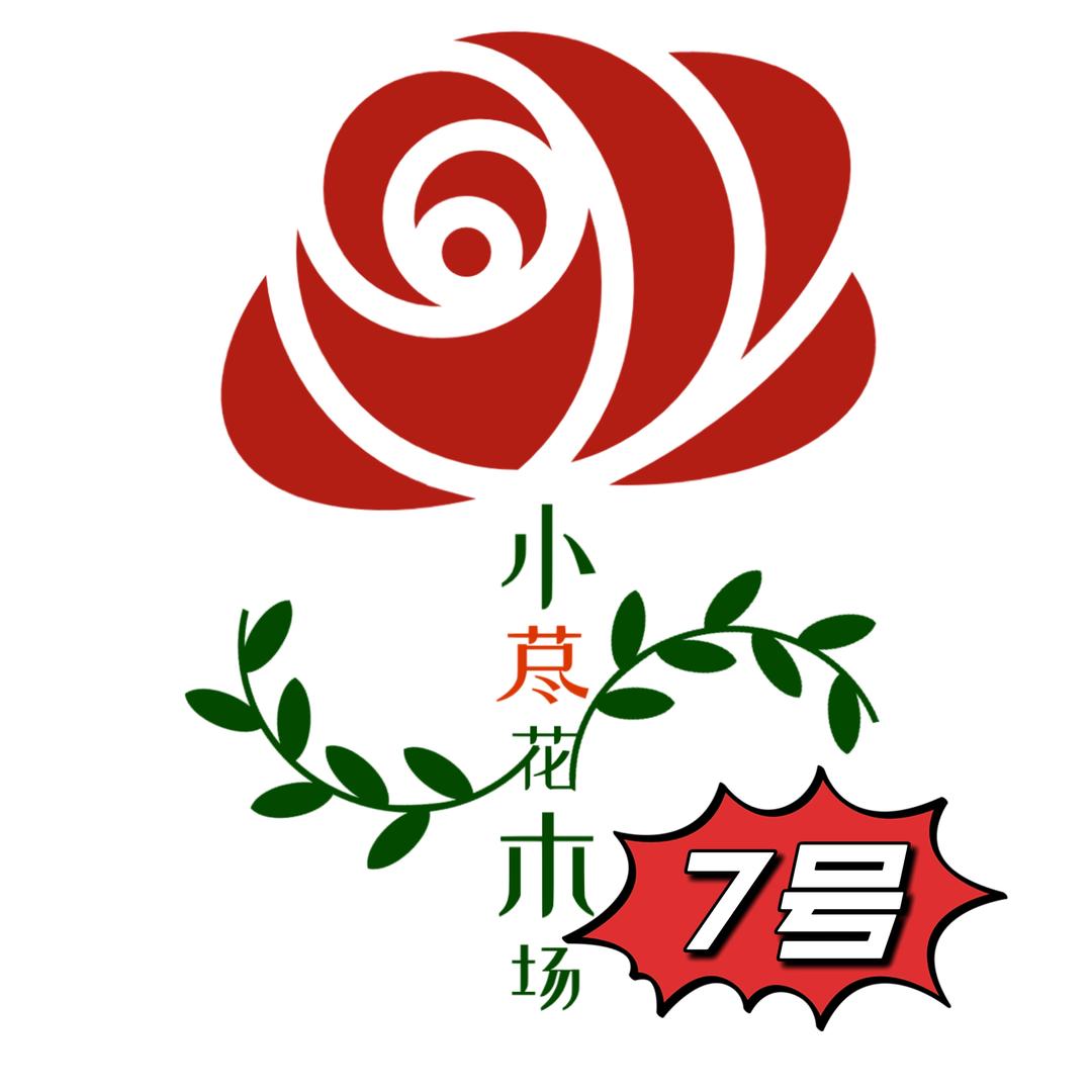 小荩杜鹃7号栀子花