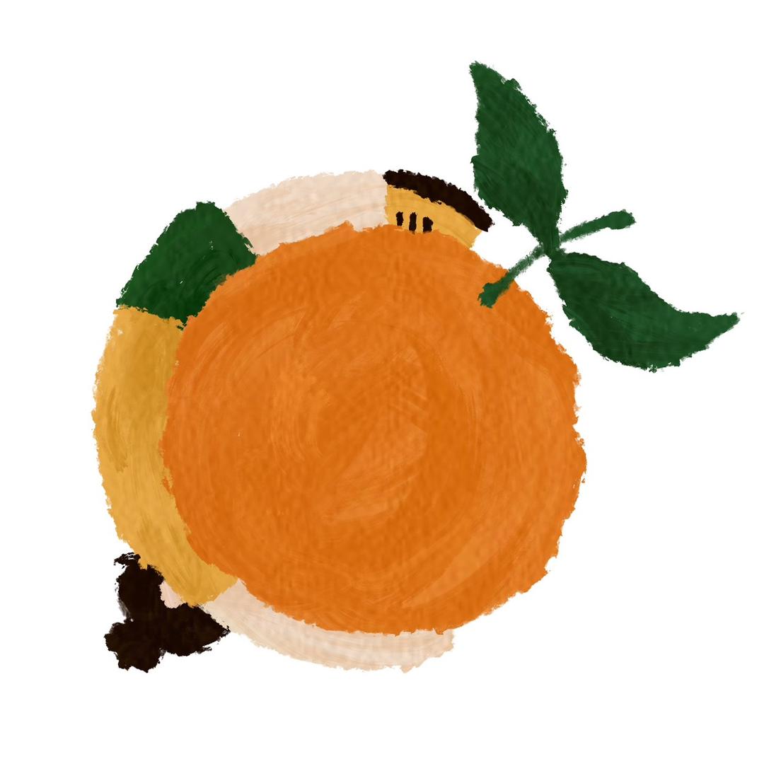 倒悬的橘子🍊