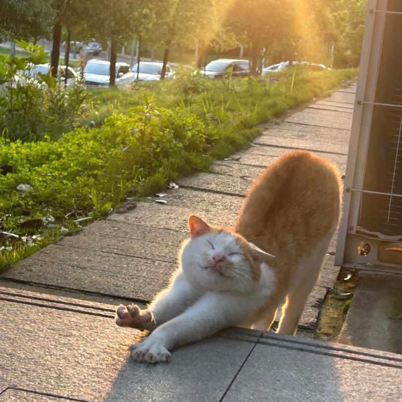问