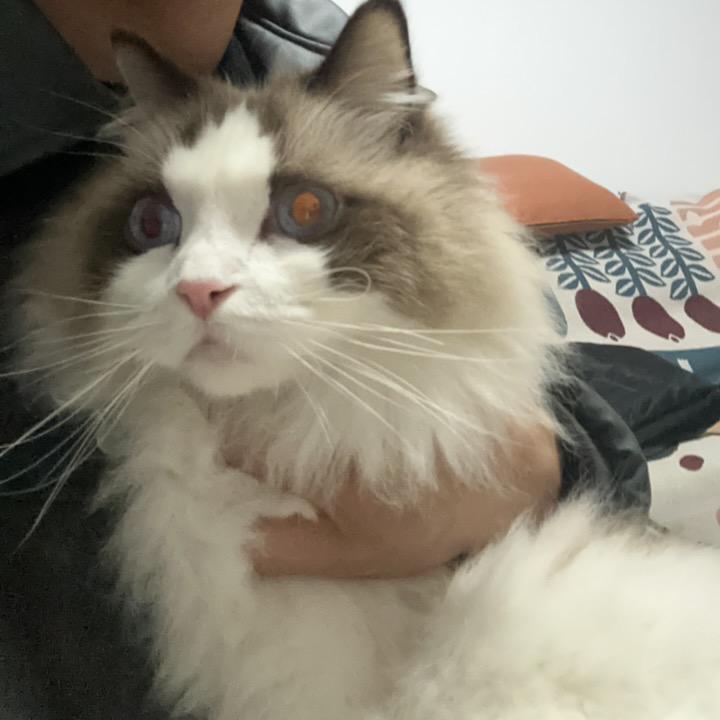 爱喝怡宝