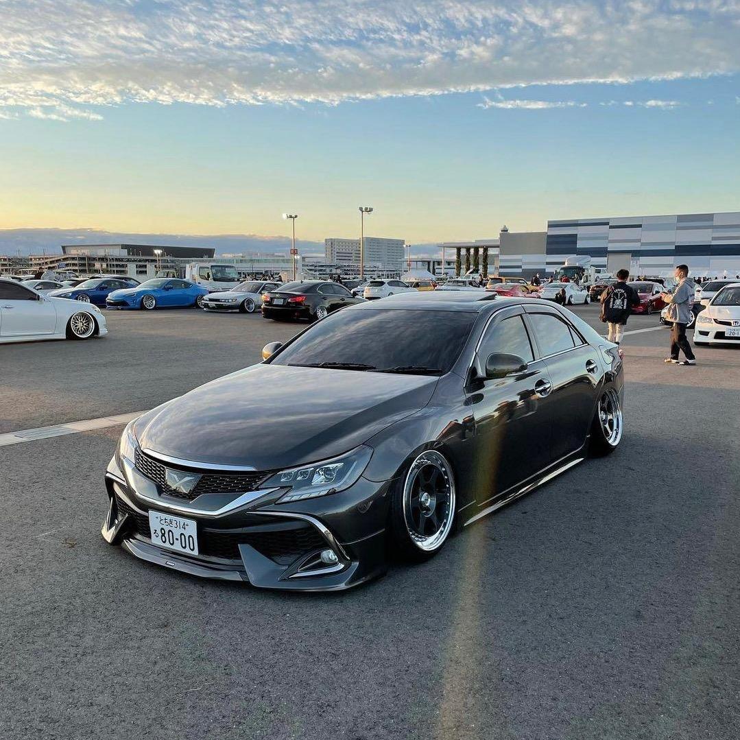 废狗