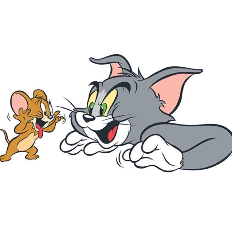 吉安猫抓老鼠活动