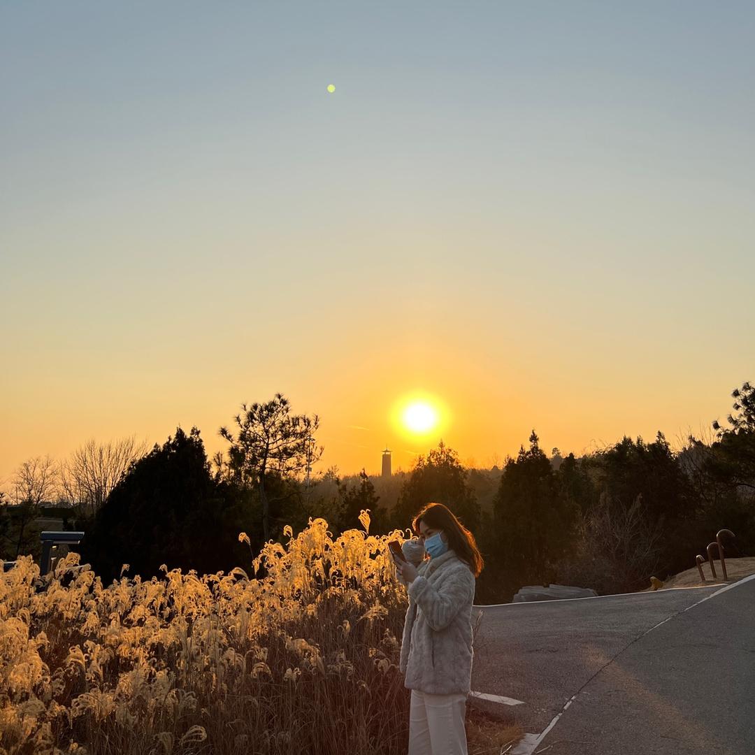听晚风.