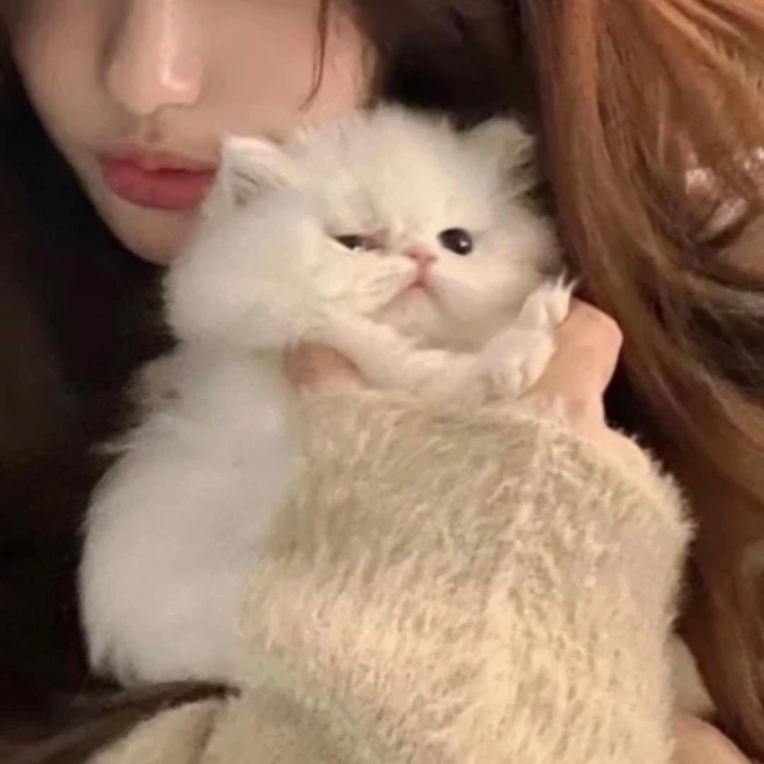 llll