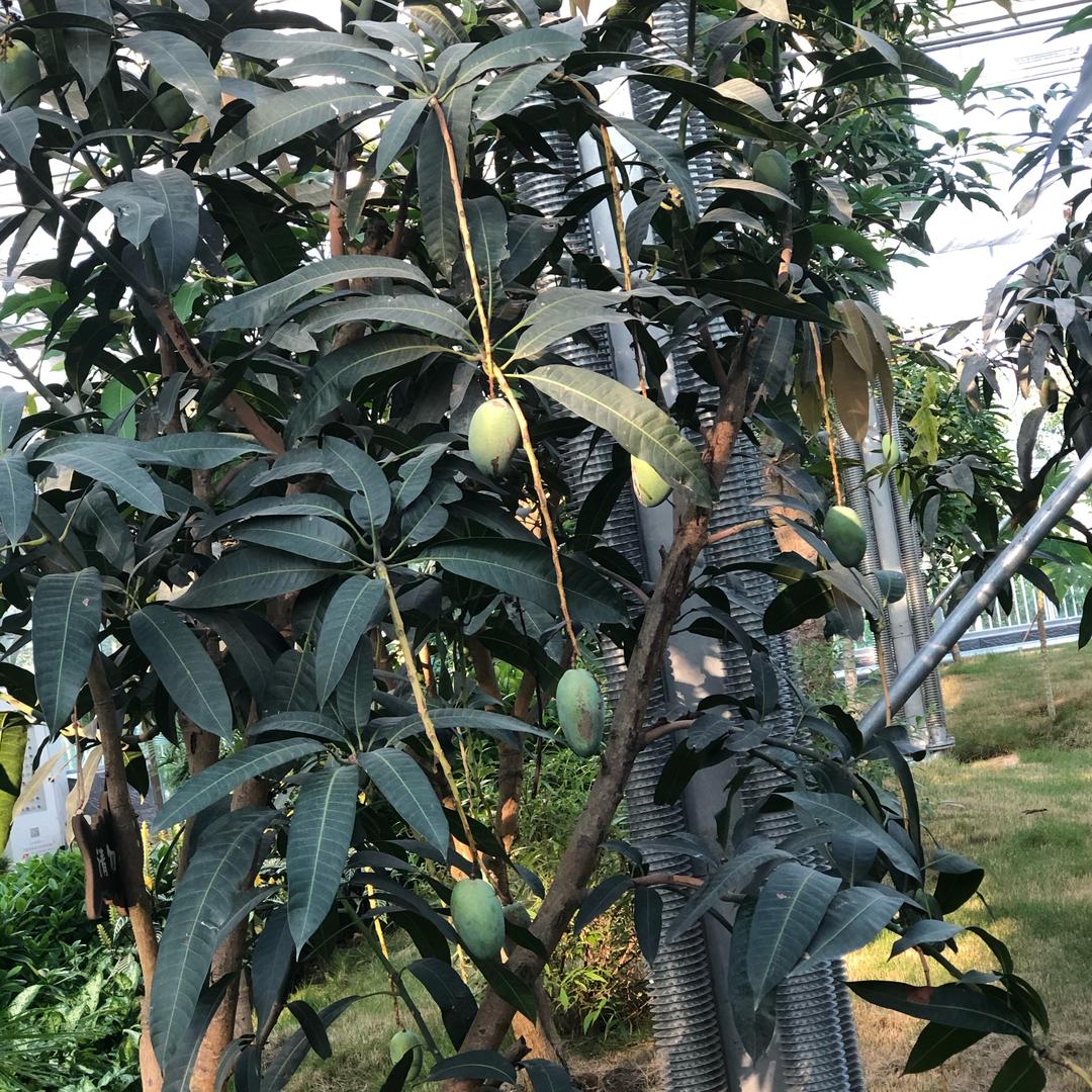缘份