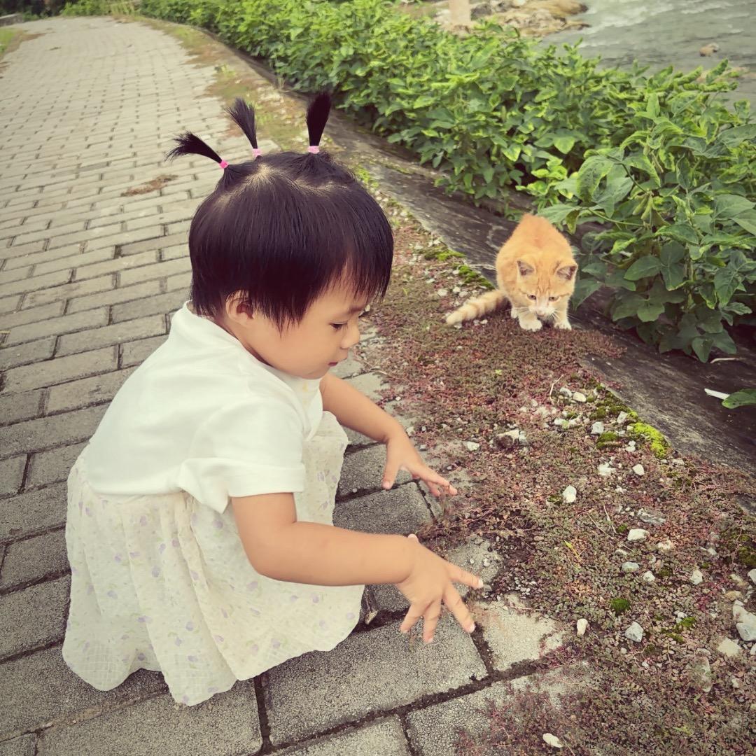 班