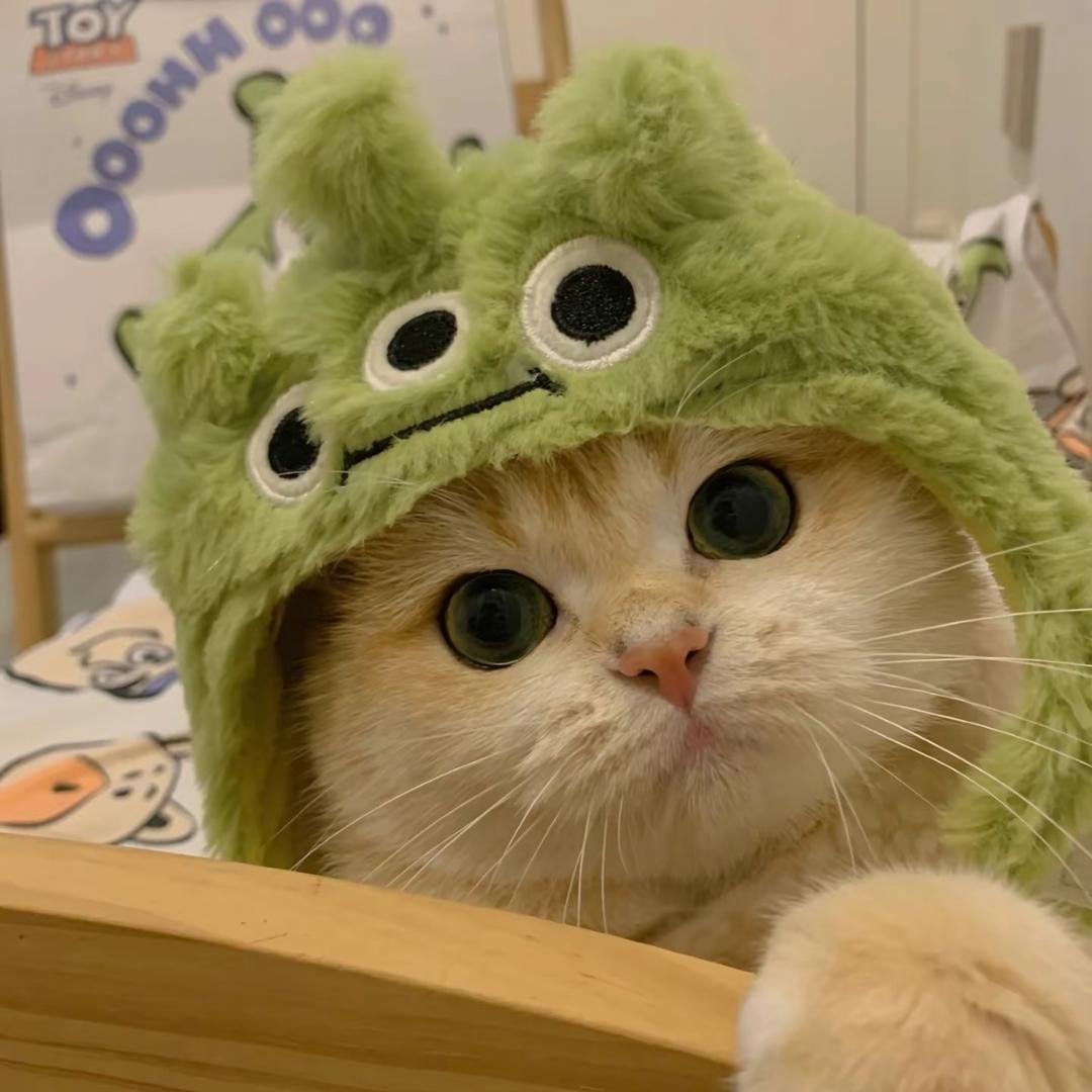 欣欣猫狗严选超市
