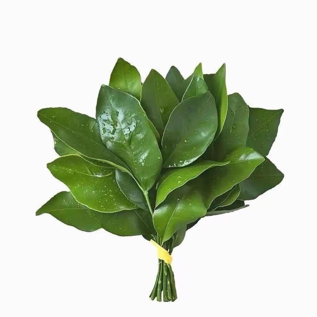 七个葫芦娃