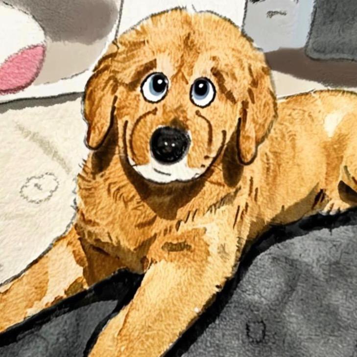 ︋︋︋︋︋   ㅤ ㅤㅤㅤ