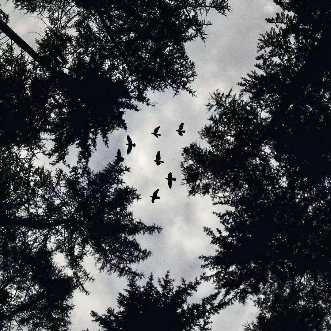 澤