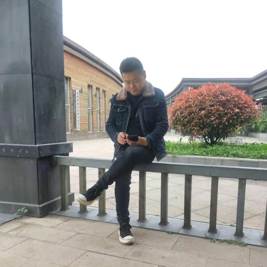 杨    金     红
