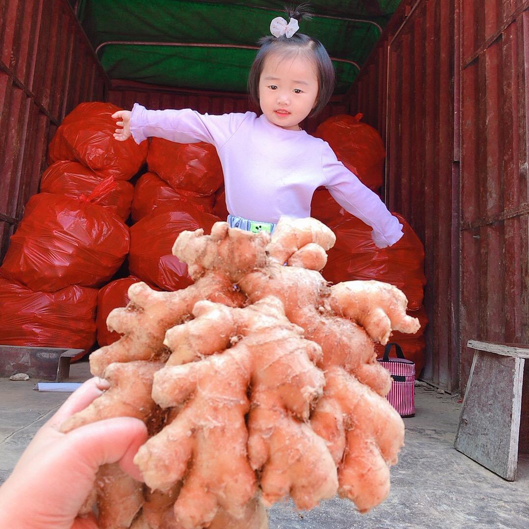 小唐姜业