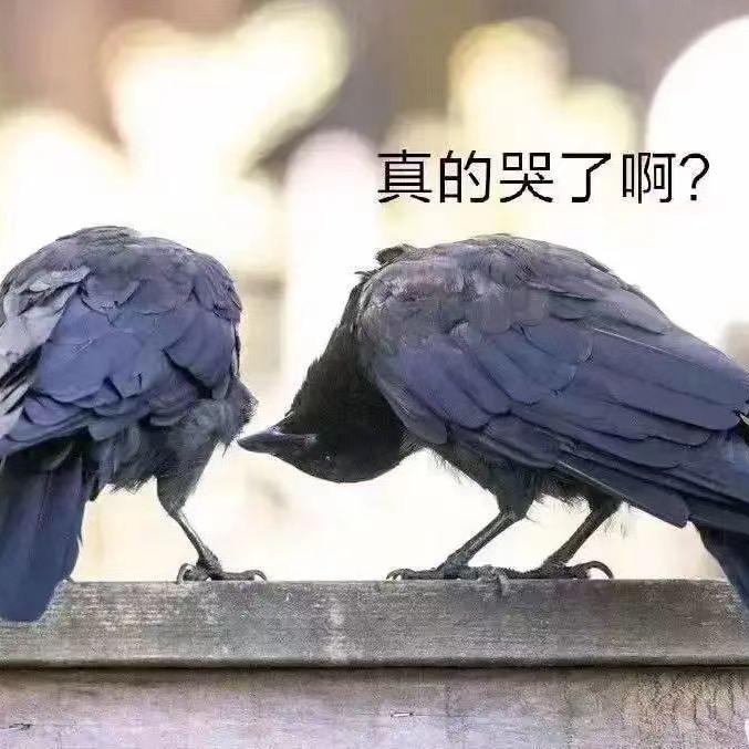 小小柠檬🍋🍋