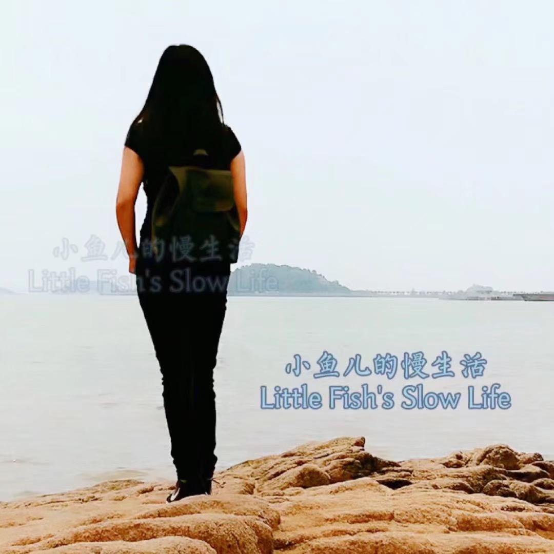 小鱼儿的慢生活