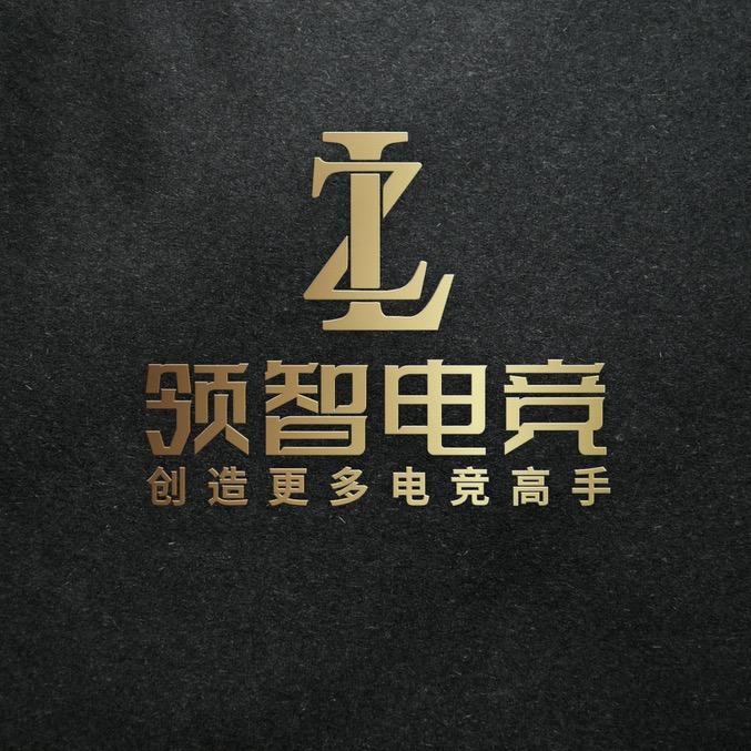 领智电竞