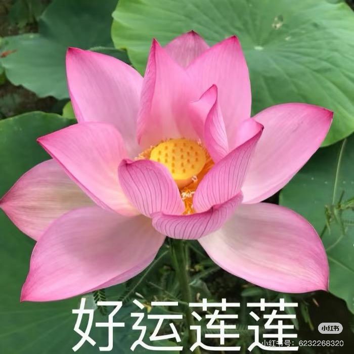用户1254537