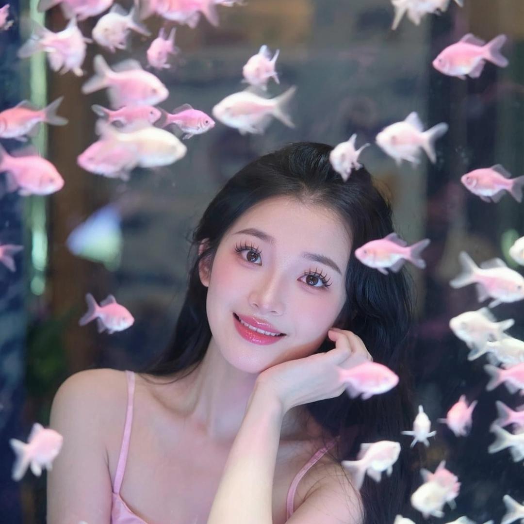 皖南郑郑