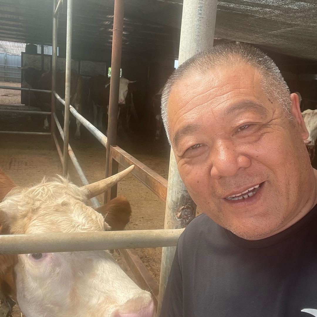 懂饲料