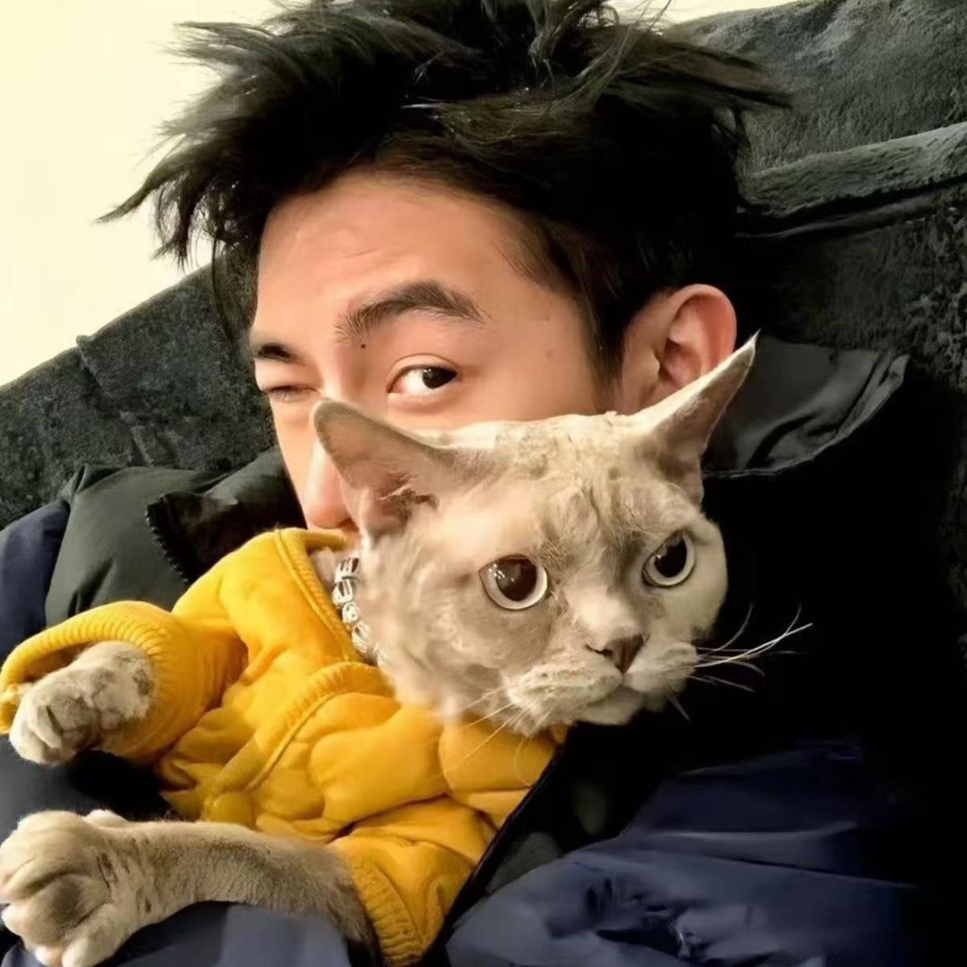 达不6