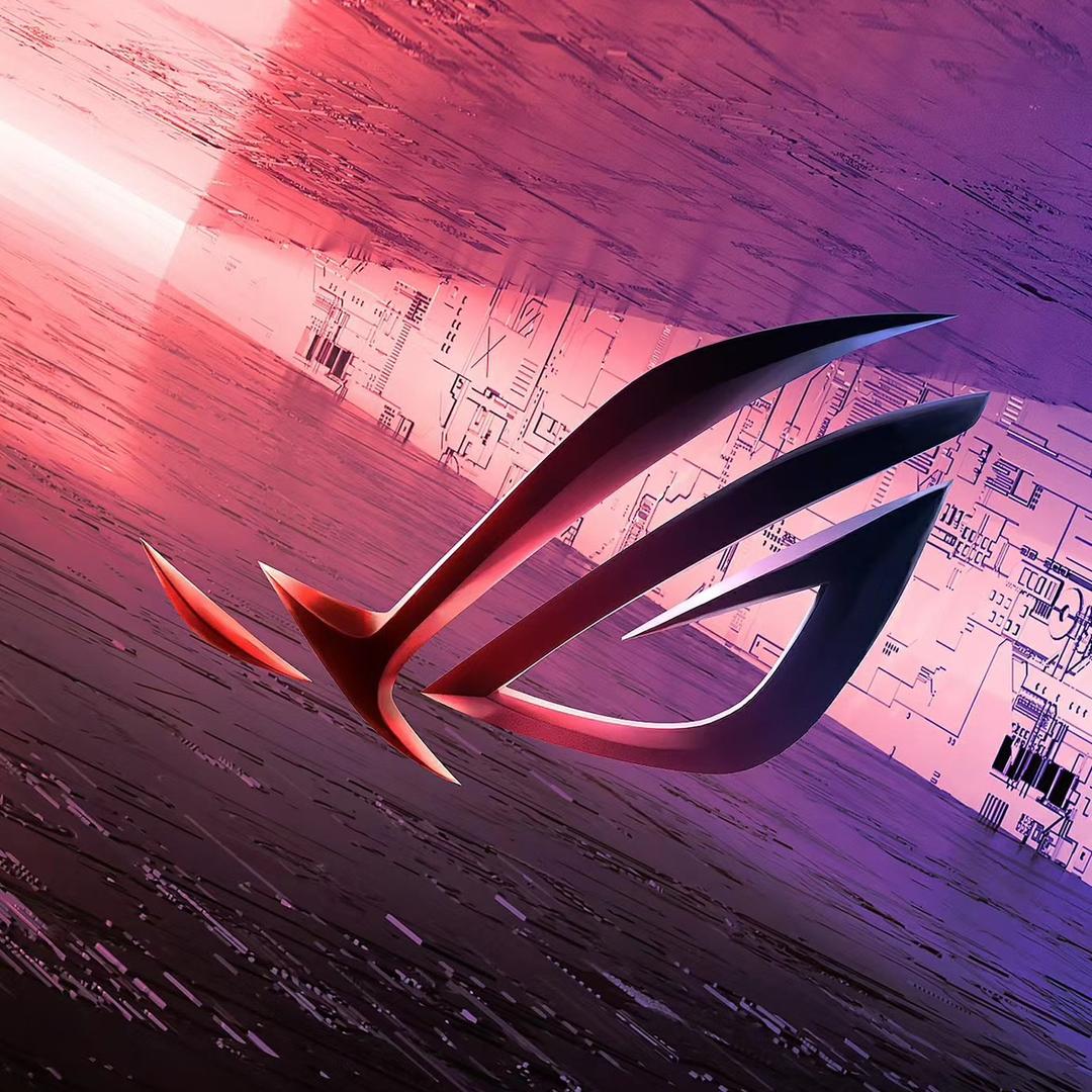 华硕双猫专卖店