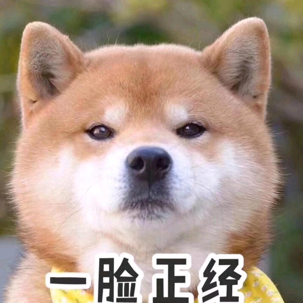 此处空白头像