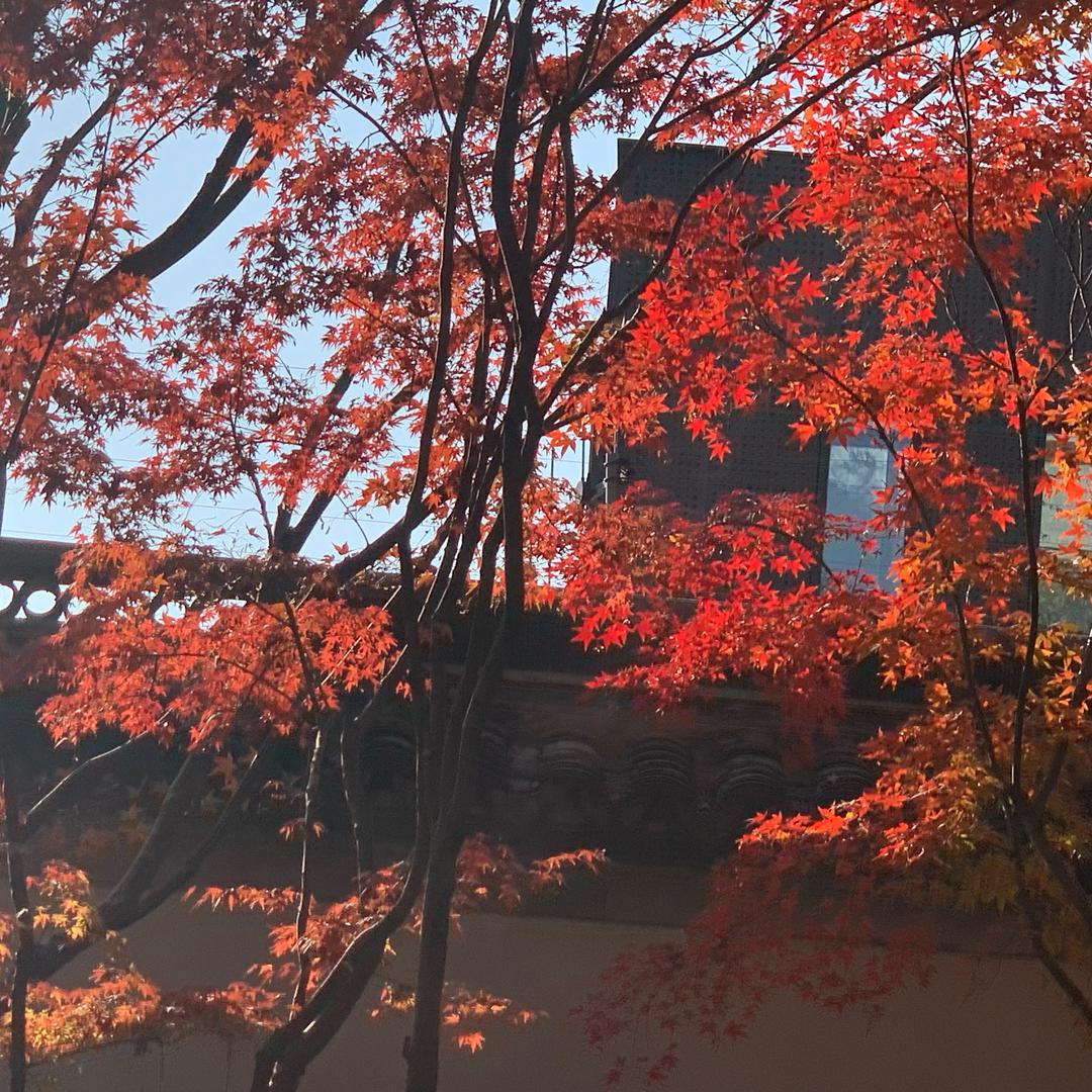 慧