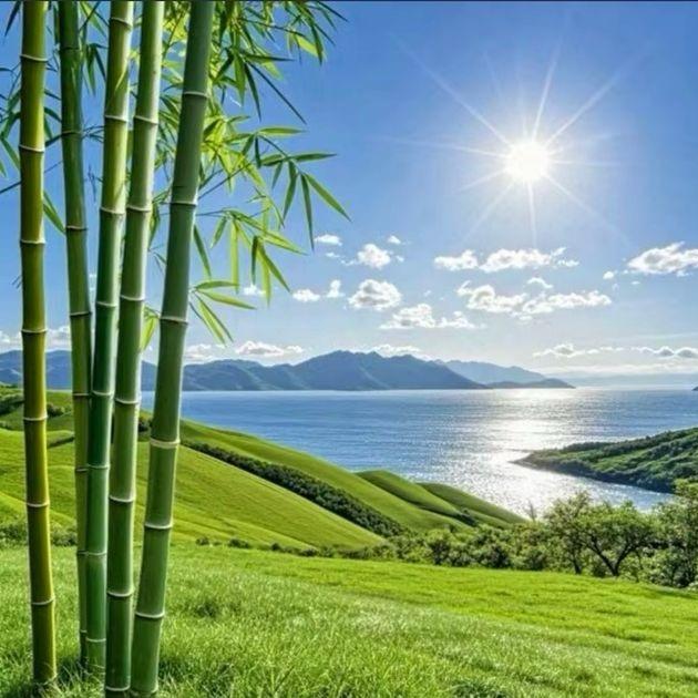 安居乐业