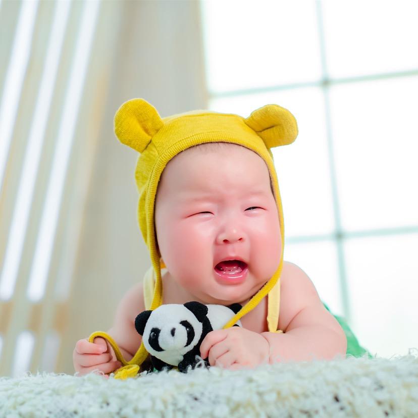 小榴莲🐮