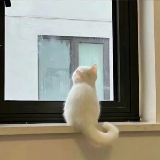 咕噜五
