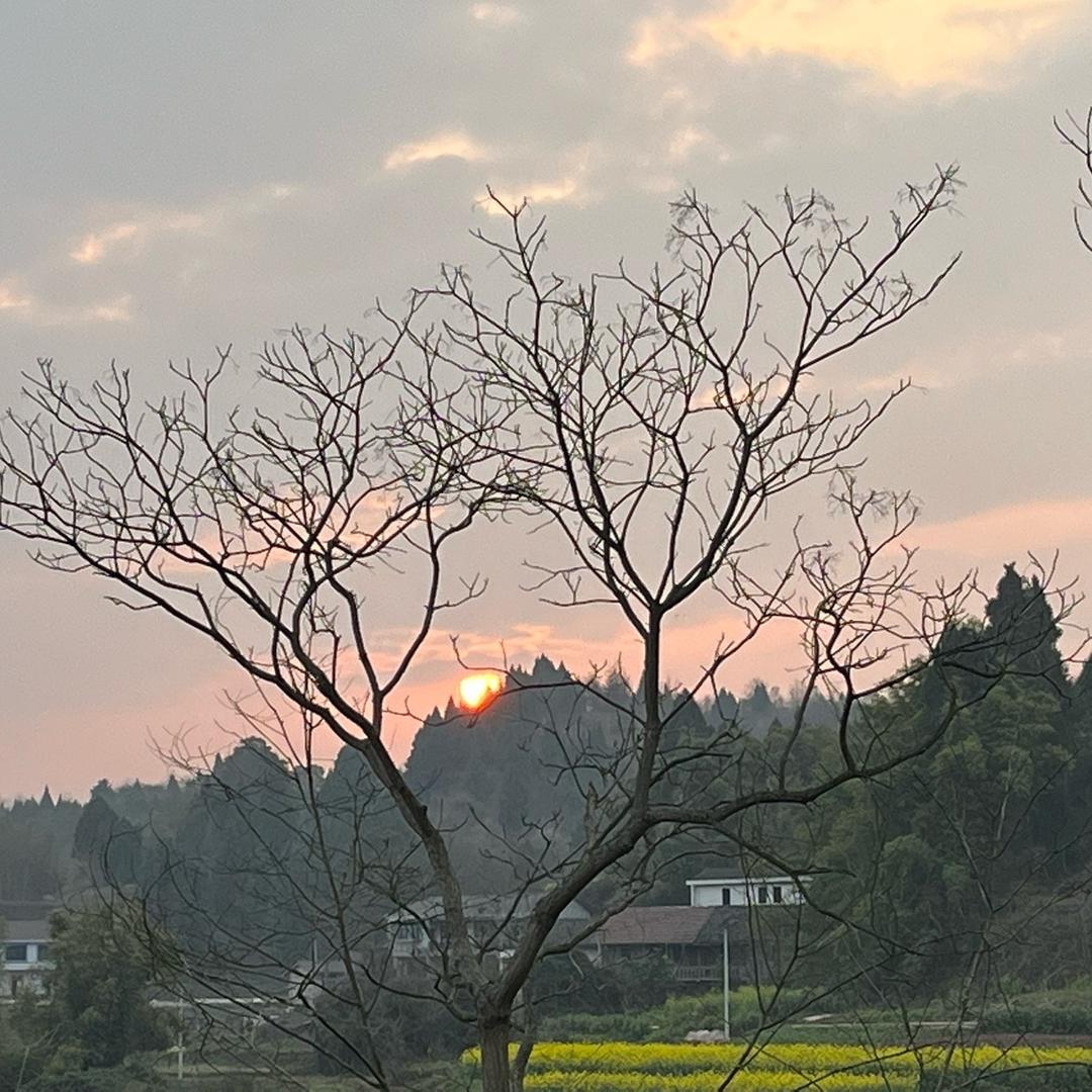 小师妹