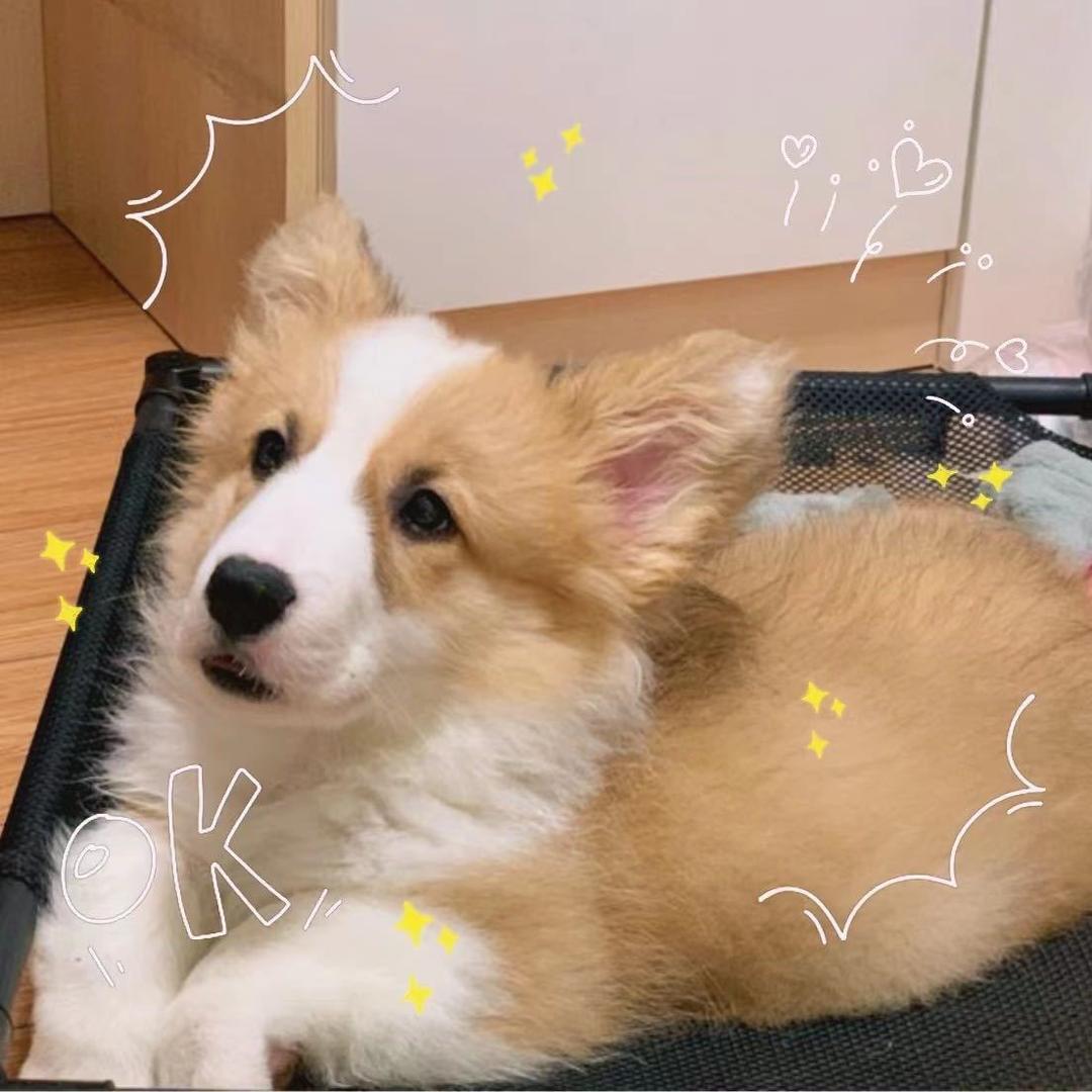 🌈阿谨